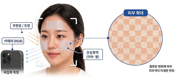 Remote PPG(rPPG) 기술