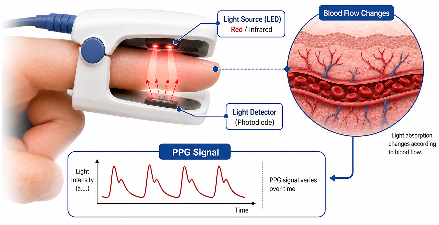 PPG-Based Blood Pressure and Biomarker Measurement Technology