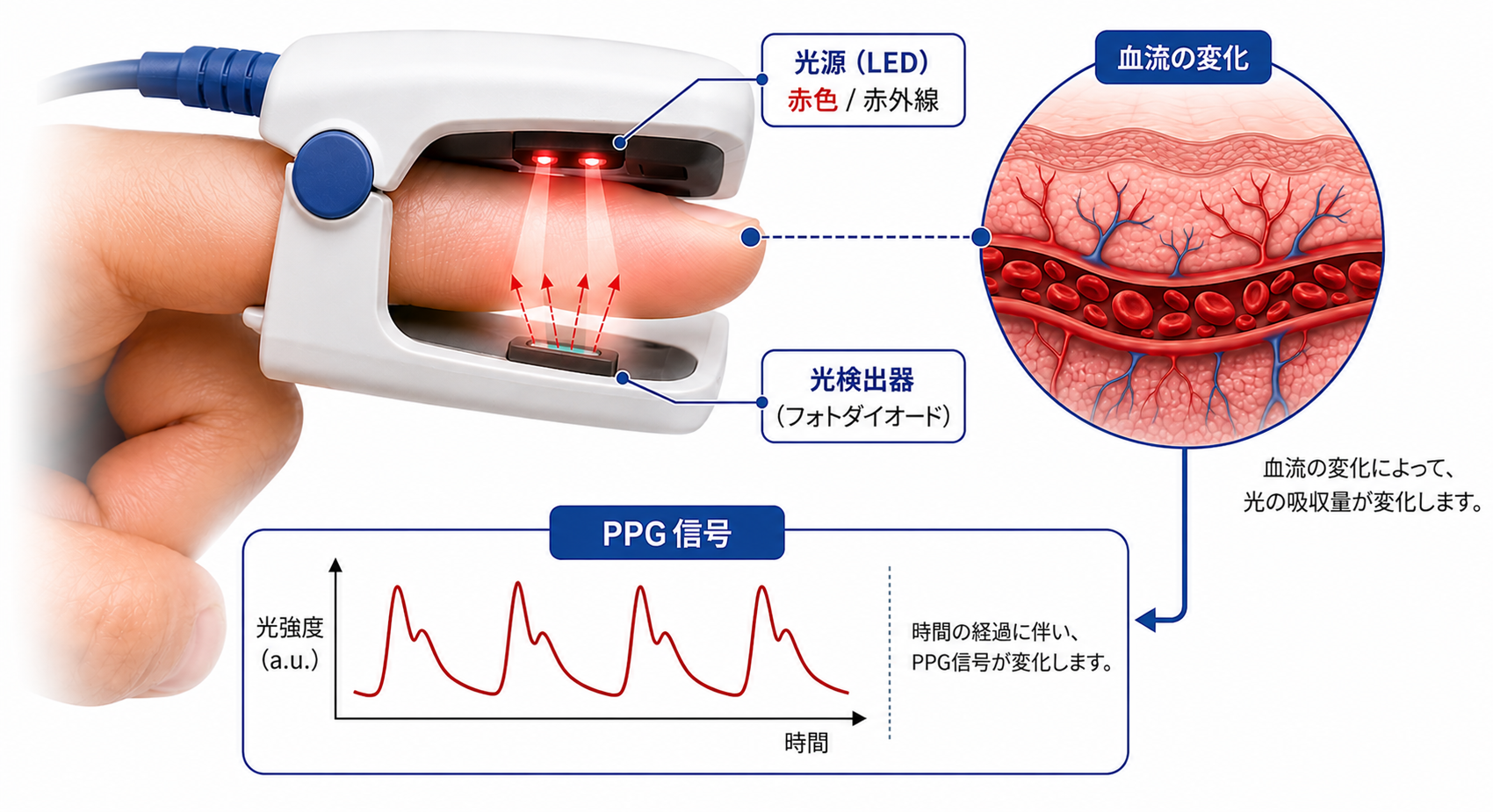 PPG基盤の血圧およびバイオマーカー測定技術